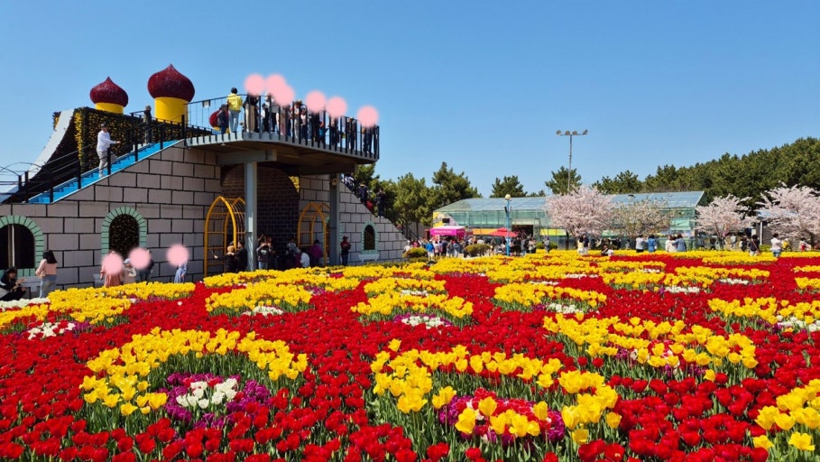 ?��? ???? ?? ????_????.jpg