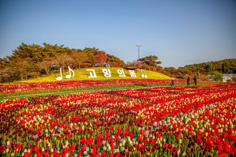 ?��? ???? ?? ????_???????????.jpg