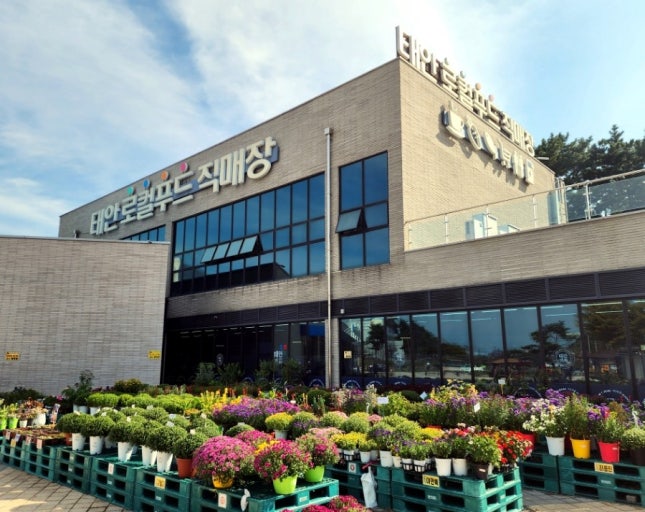 ?��? ??????? ??????_???????.jpg