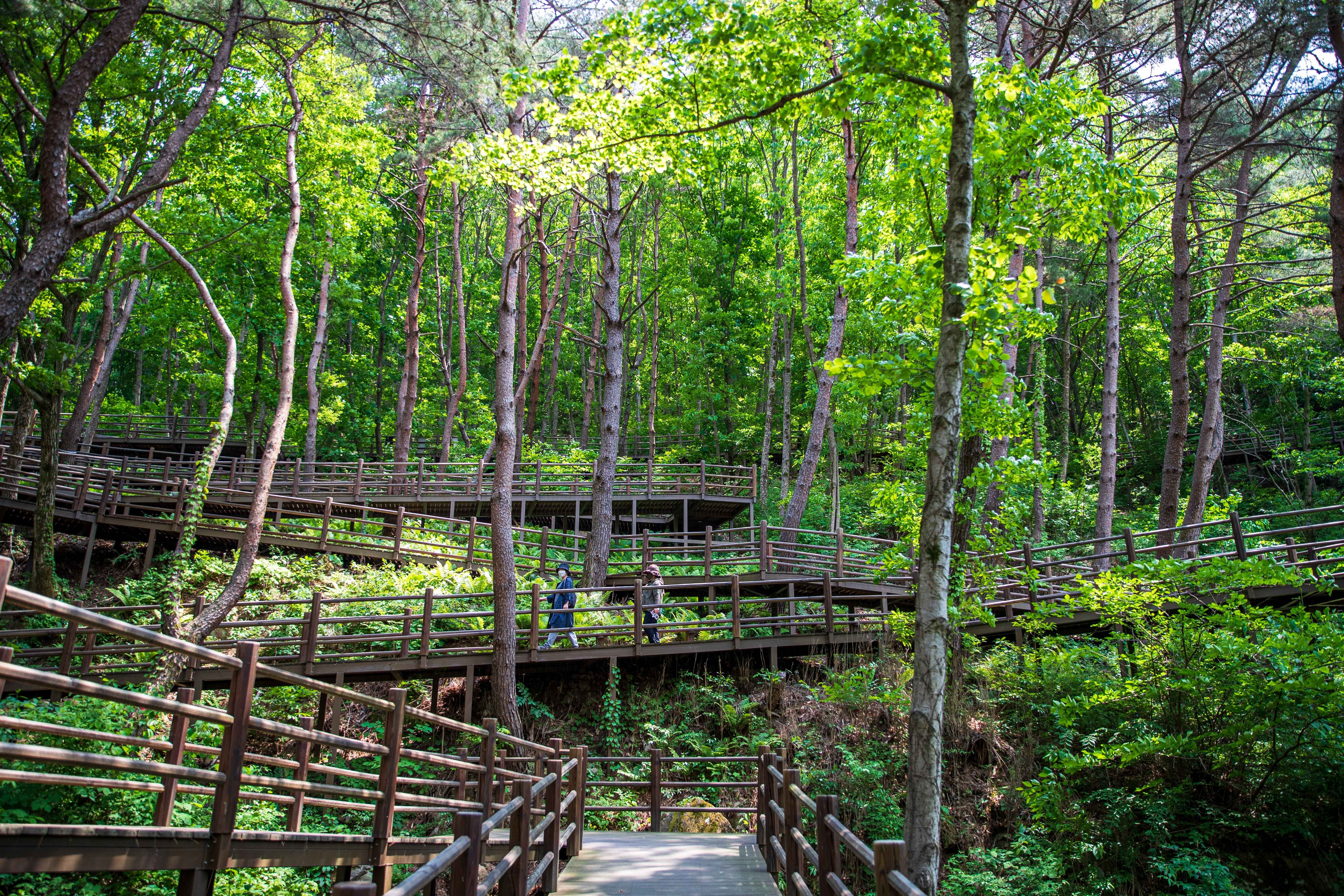 Type1_??a ????????????_??????????? ?????_Bm1zGY.jpg