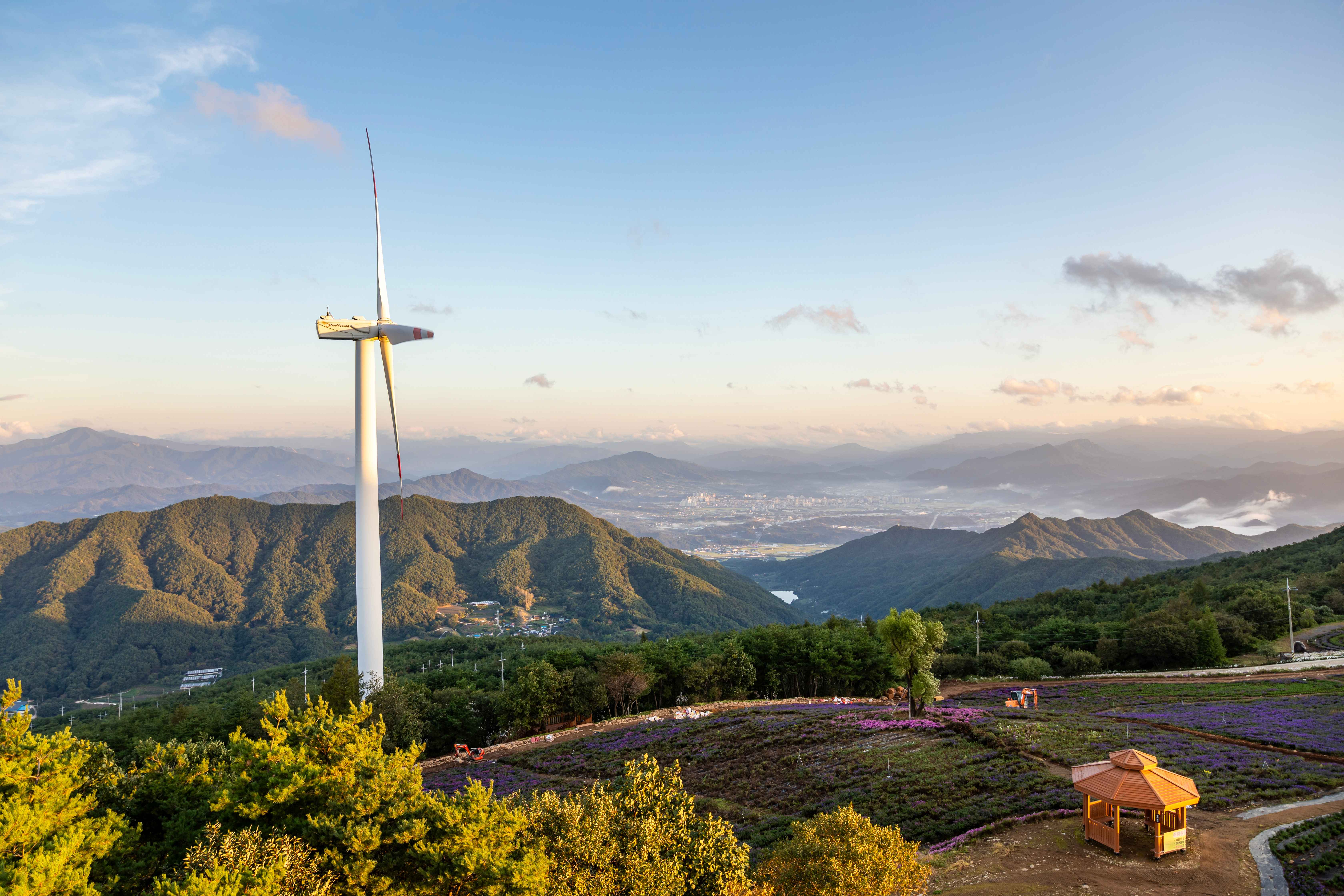 Type1_??a ?????_?????_yfGkxy.jpg