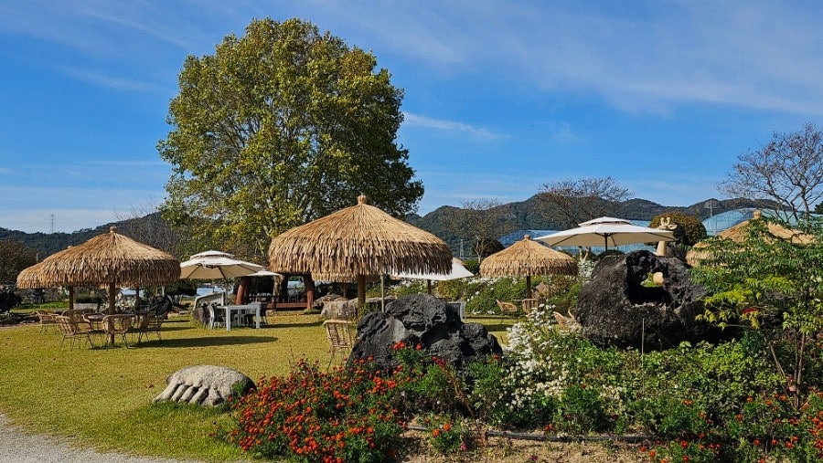 ?????? ?????_????.jpg