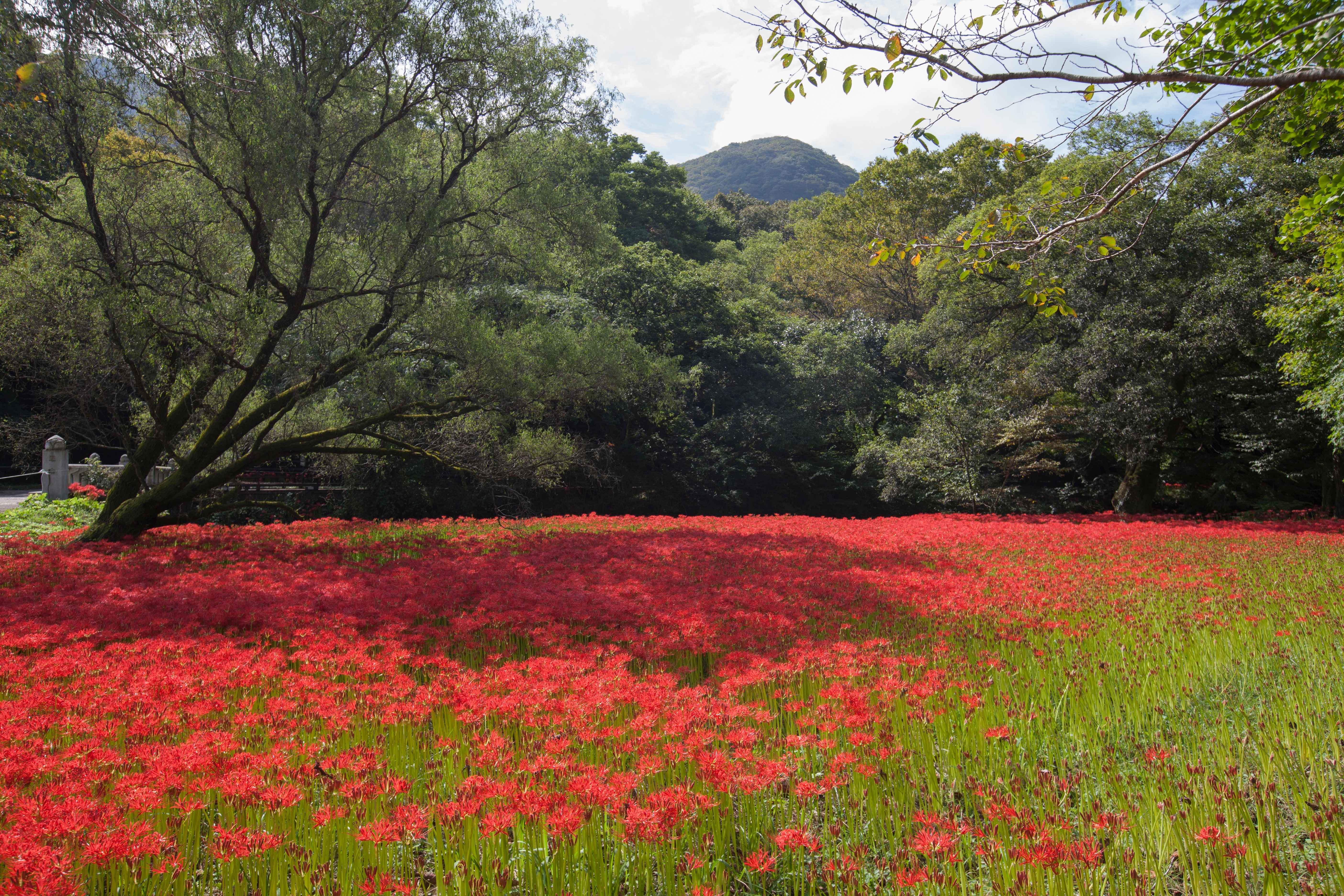 Type1_??a ?????_??????????? ?????_GDOn8Y.jpg