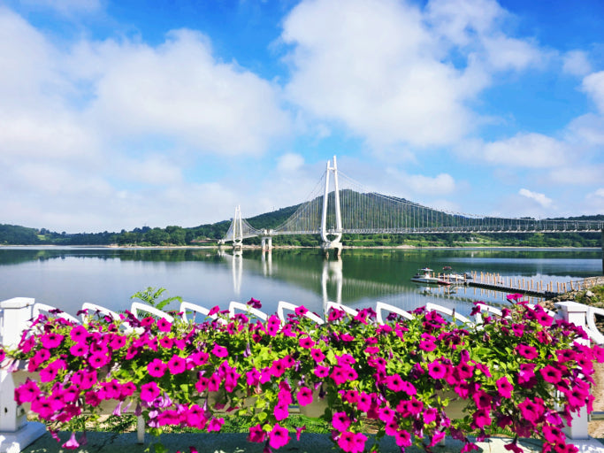 ??? ???? ?????_??????.jpg