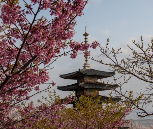 ??? ????_parkhyunyoung.jpg