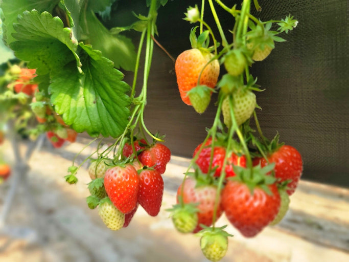 ???????_???????��? ??????��?.jpg