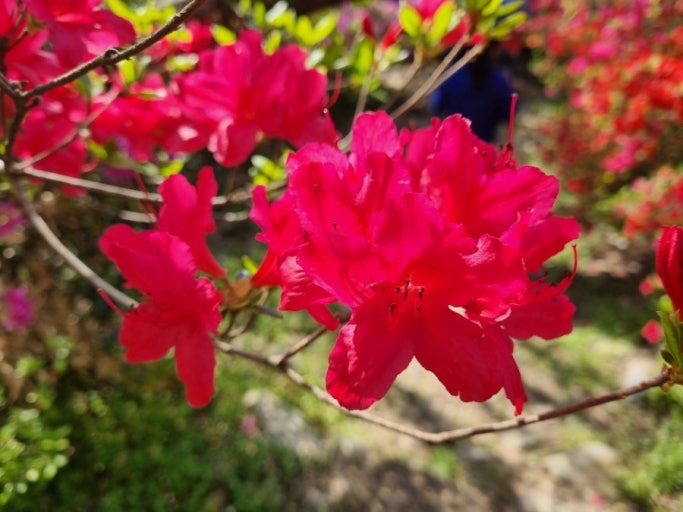 ??? ?????2_fruit ooo.jpg