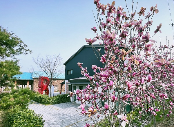 ��ʹ�ȭ������_��ʹ�ȭ������ Ȩ������.jpg