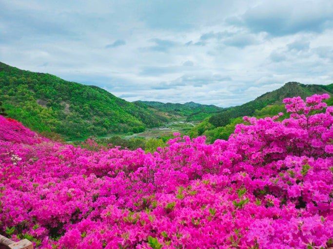 ???????_?????? ??? ????.jpg