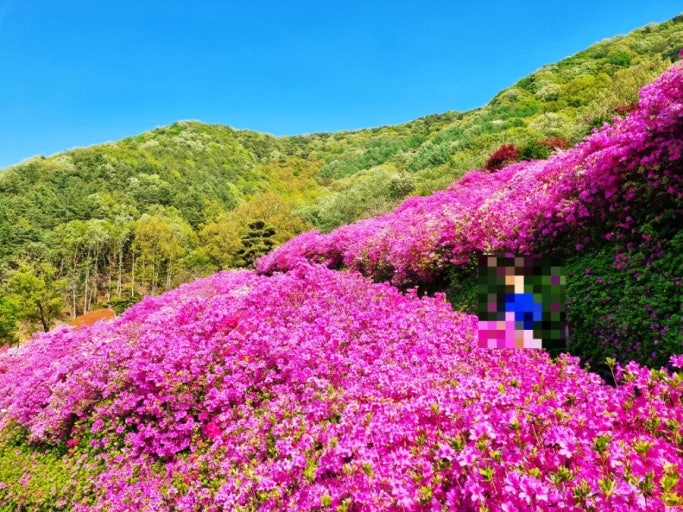 ??? ?????3_fruit ooo.jpg