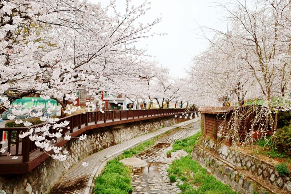 ?????????_???????? ???.PNG