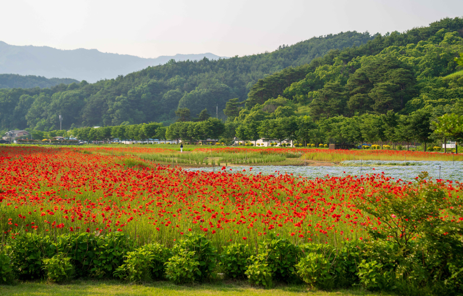 ??? ??????_??????????? ????????? ?????.PNG