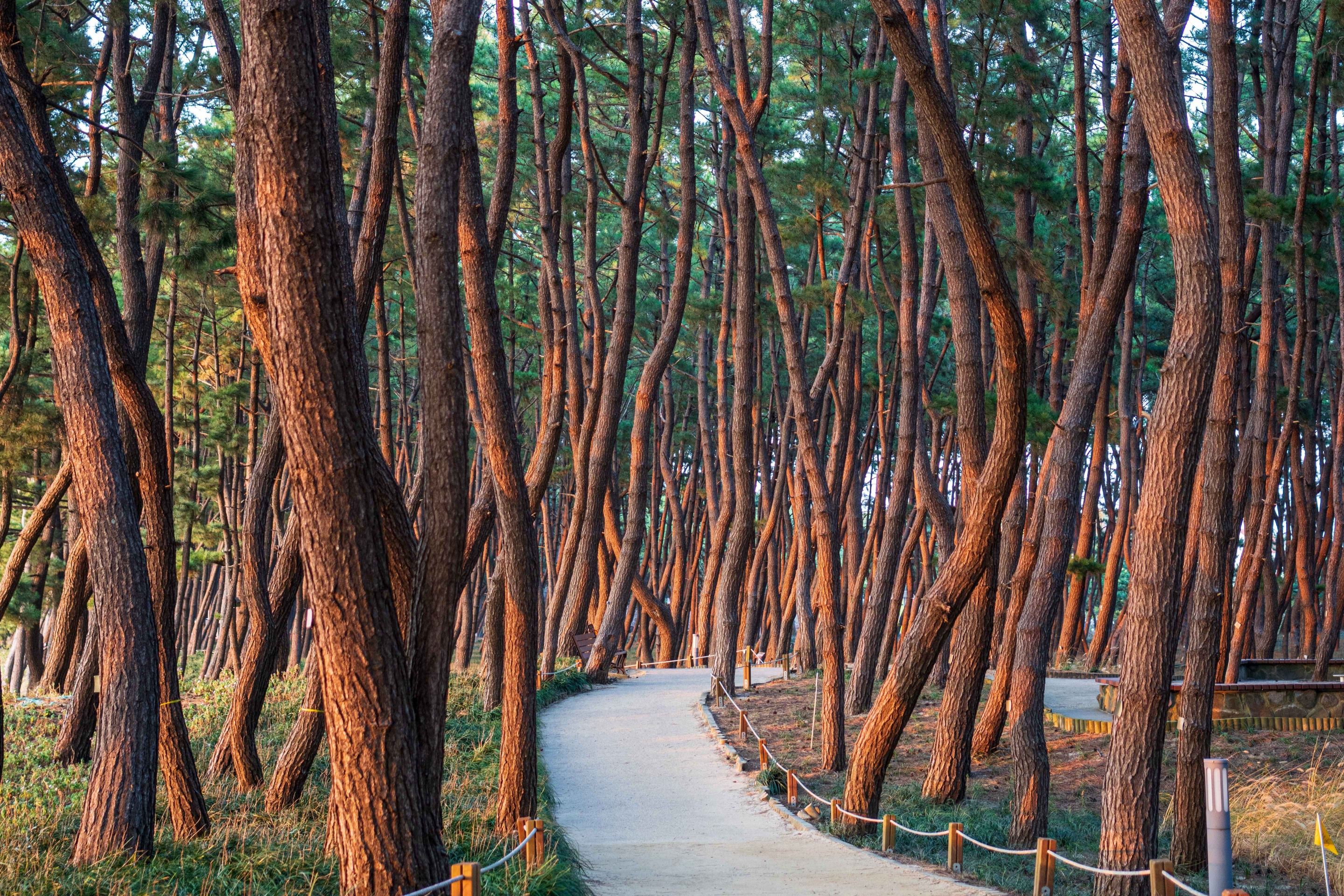 Type1_???????�t????_??????????? ?????_jh6Coq(1).jpg