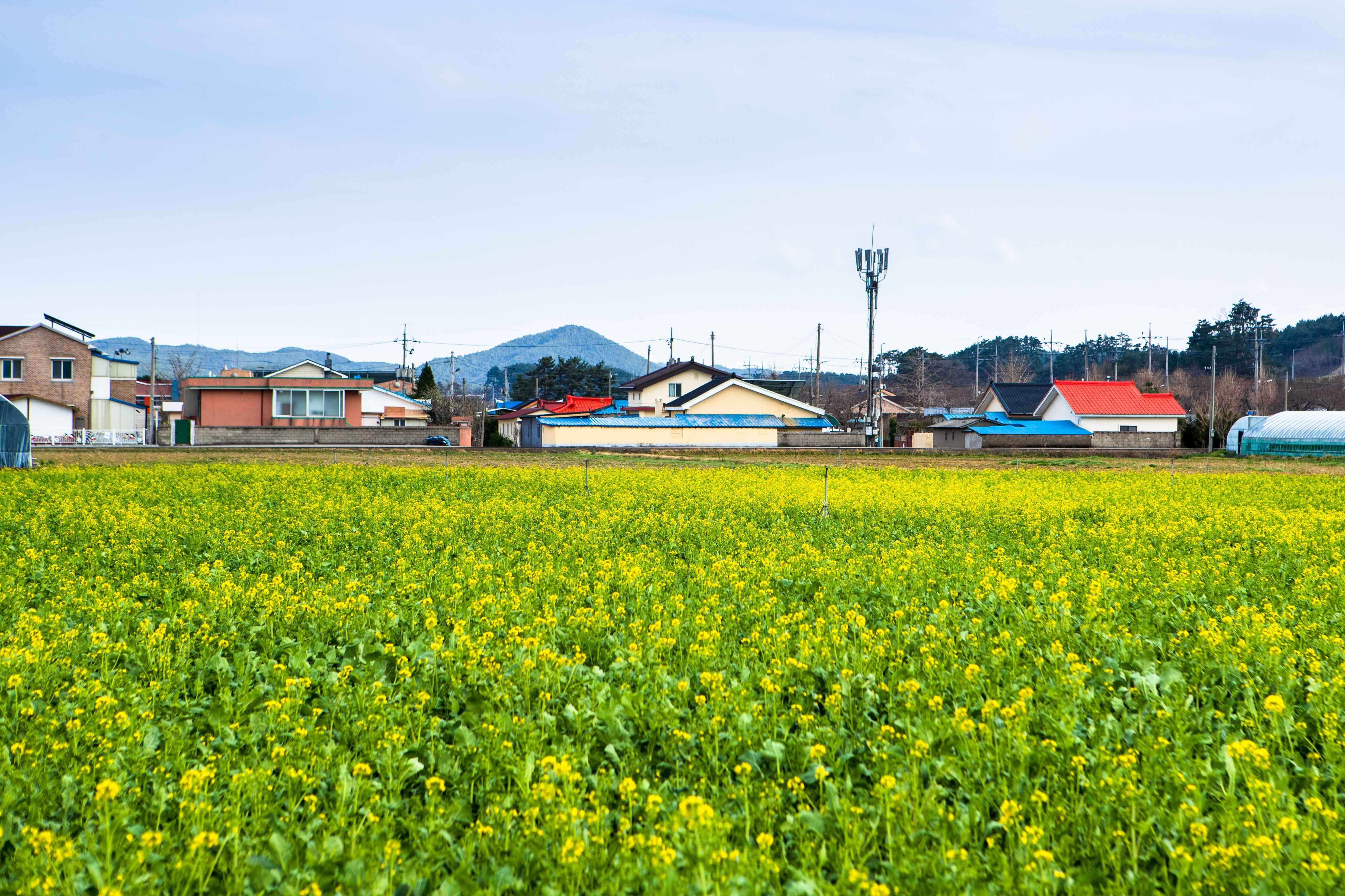 Type1_??? ??a??_??????????? ?????_mwvBva(14).jpeg