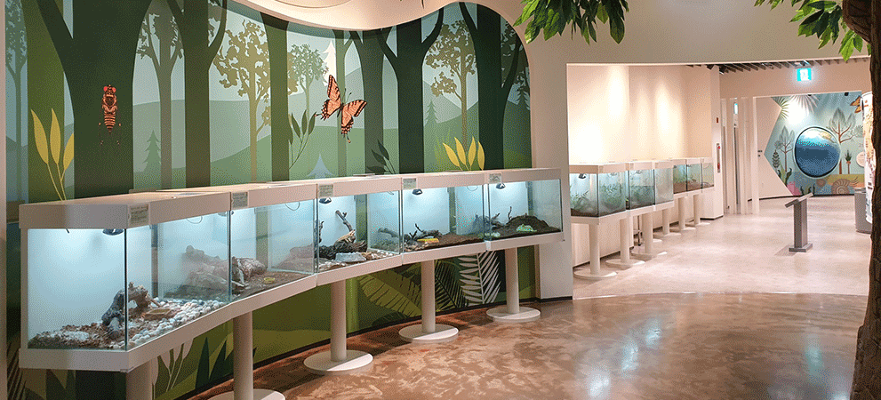 ??a???? (2)_?????u.png