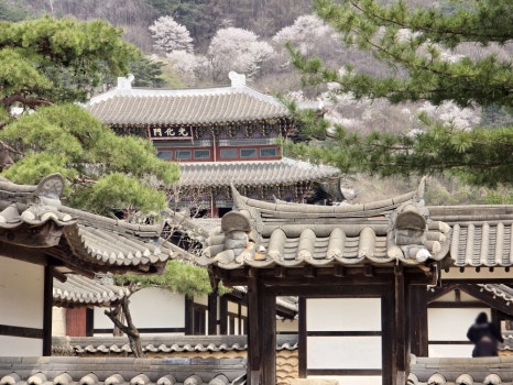 ??????? ???��????_?????.jpg